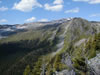 Trees Behind Grassi Hut