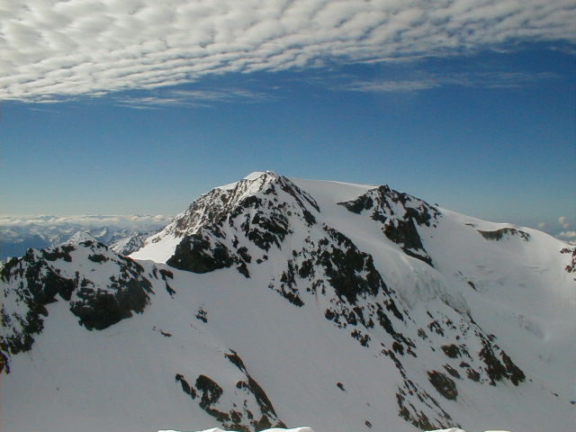 Sonklarspitz