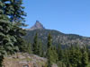 Three Fingered Jack