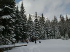 Willamette Pass Winter Camp