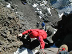 Three Fingered Jack