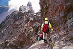 Three Fingered Jack