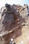 Three Fingered Jack