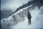 Rogers Pass