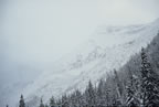 Rogers Pass