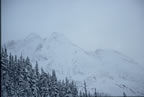 Rogers Pass