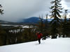 Willamette Pass Backcountry