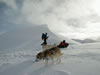 Turnagain Pass