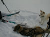 Turnagain Pass